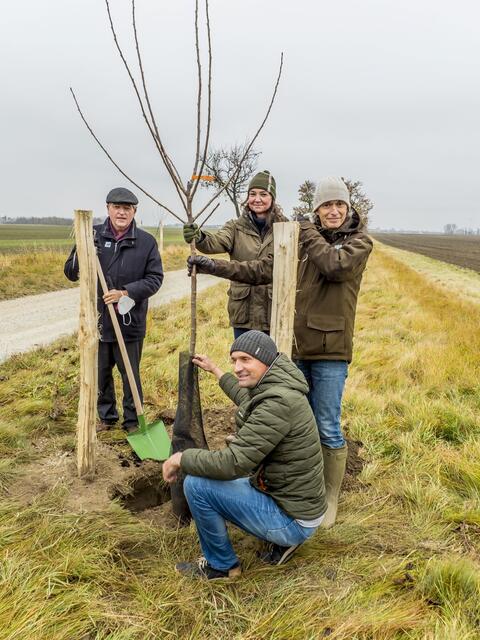 Probstdorfer Repräsentanten des Glaubens, der Medizin und der Landwirtschaft setzen gemeinsam einen Kirschbaum: Helmut Schüller (Pfarrer von Probstdorf), Maria und Franz Tödling (Ärzte in Probstdorf), Christian Zehetbauer (Landwirt in Probstdorf) | Foto: Franz Kern