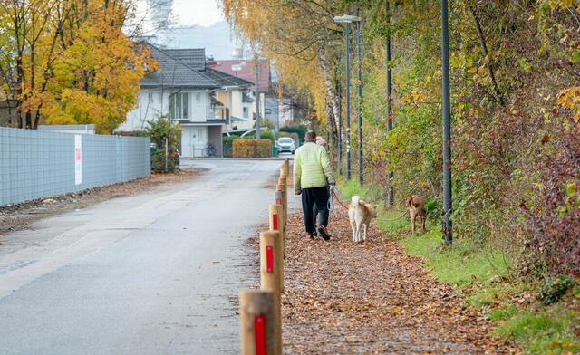 Geschotterter Gehweg als Verbindung zur Salzach, der gerne für einen Spaziergang genutzt wird.  | Foto: Stadt Salzburg/Alexander Killer 