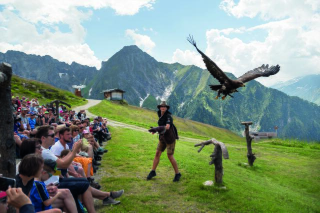Wenn Adler und Co. nur wenige Zentimeter über deinen Kopf fliegen, ist das ein ganz besonderes Erlebnis. Mit der ErlebnisCard Tirol ist dieses Erlebnis 1+1 gratis.