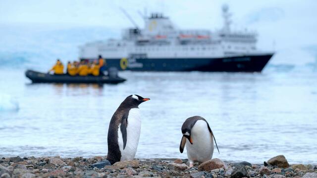 Natur trifft Technik | Foto: Derek Oyen,  Unsplash