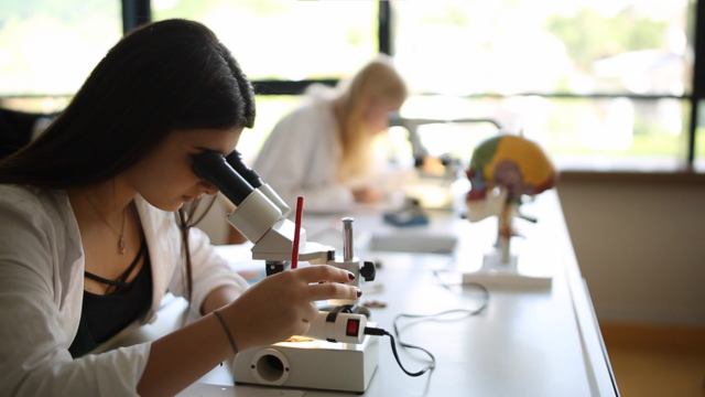 Der Tag der offenen Tür des BRG/BORG Telfs wird heuer online abgehalten.