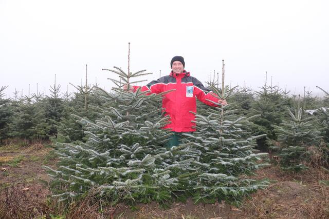 12 Hektar groß ist das Christbaum-Areal der Familie Krennbauer in Schardenberg.