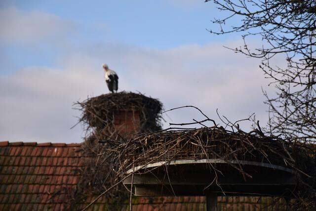 Foto: Waltraud Fischer