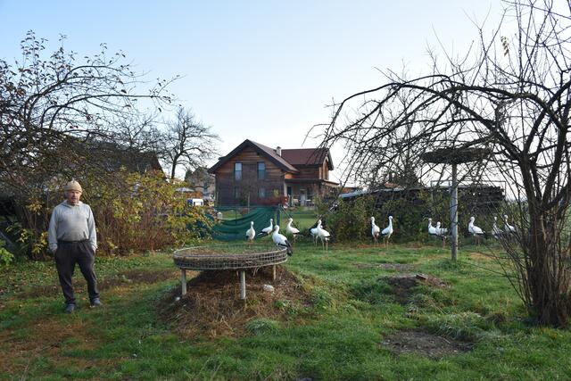 Foto: Waltraud Fischer