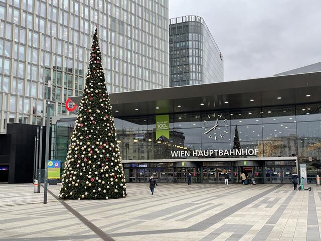 Der Weihnachtsbaum am Hauptbahnhof bringt Weihnachtsfeeling ins Grätzel.