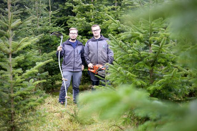 Hannes und Jakob Brandacher sind die wohl jüngsten Christbaumbauern im Innviertel. Die Hochburger sind 21 und 16 Jahre alt und haben heuer das Geschäft von ihrem Opa übernommen.