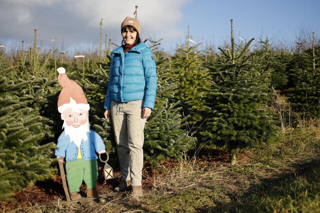 Christa Gruber vom Marillenhof in Niederneukirchen. Ab sofort können Kunden sich Christbäume selbst am Feld aussuchen.