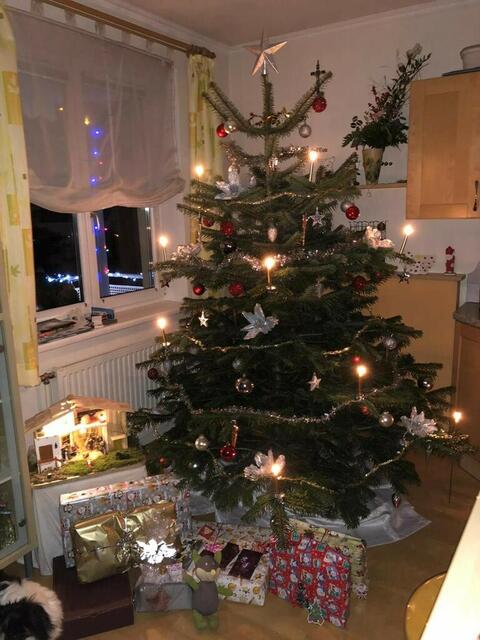 Bei Sabine ist die Sorte egal, hauptsache der Baum ist schön. | Foto: Privat