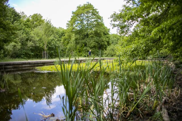 Schon nächstes Jahr wird sich der Pappelteich stets in seiner ganzen Schönheit zeigen. | Foto: BV23