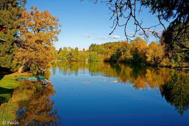 Der Moosburger Teich im Herbstkleid, festgehalten von unserem Regionauten Georg Paganal.  | Foto: Georg Paganal
