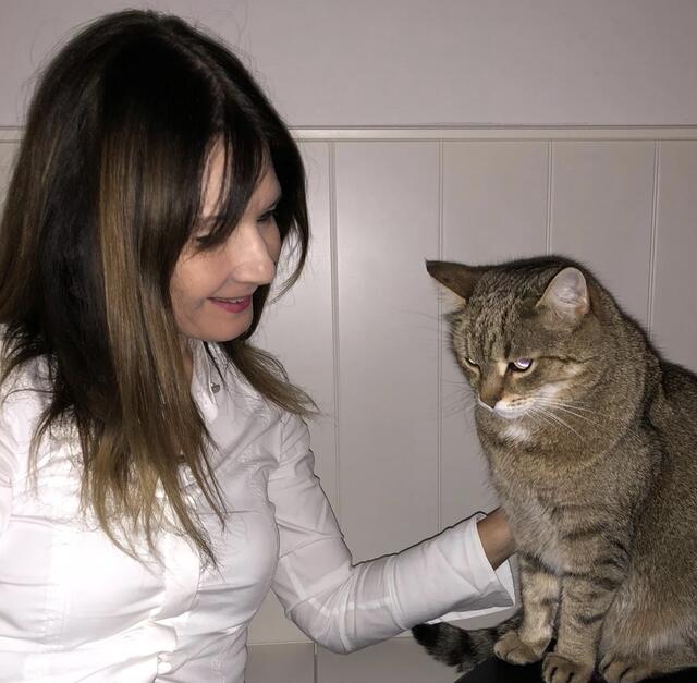 Die Psychologin hat selbst drei Katzen bei sich in der Praxis herumaufen.