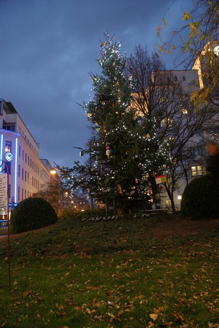 Der Weihnachtsbaum am Reumannplatz wird am Freitag, 26. November, nicht erstrahlen - die Illuminierung wurde abgesagt. | Foto: Lukas Neukirchner