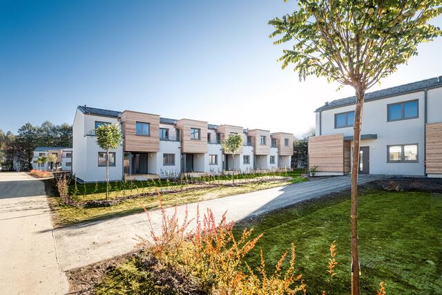 Die Gesamtnutzfläche beträgt 2.400 m2. | Foto: Artivo