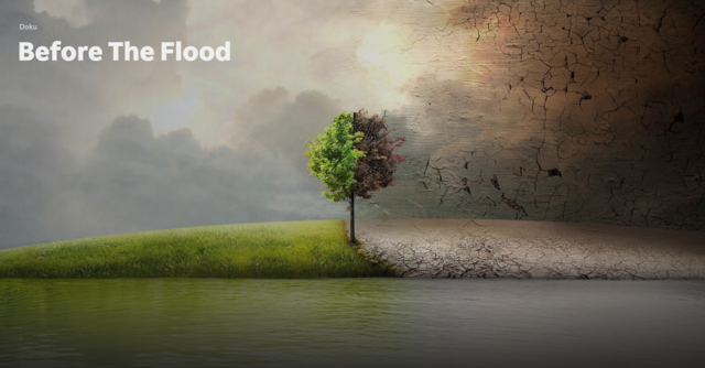 Before the Flood