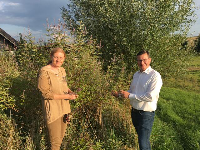 Das Projektteam will aus heimischen Pflanzen wie der Heilpflanze Mönchspfeffer ätherische Öle und Räucherpellets machen (v.l.): Doris Gansinger (BioFM Gansinger GmbH), Mattäus Diermayr (DIKATECH GmbH) | Foto: Business Upper Austria