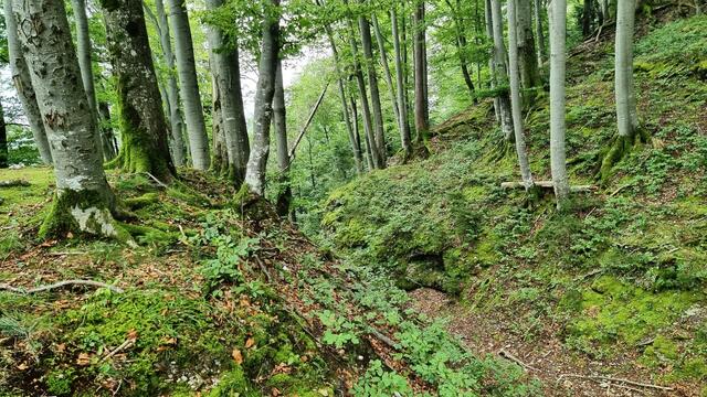 Tiefer Graben im Konglomeratgestein