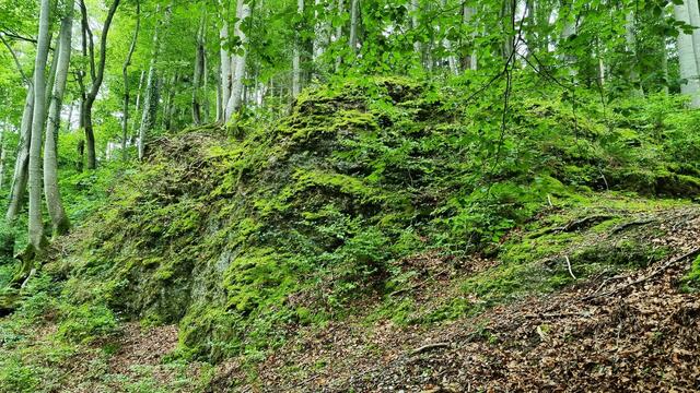 Bollwerk aus Konglomeratgestein