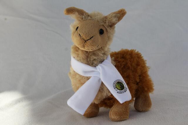 Süß und flauschig: das Bauernadvent-Lama.