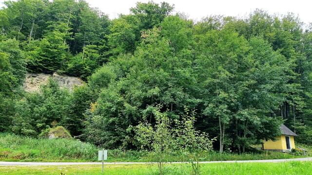 Wallanlage Mühlberg über der Barbarakapelle