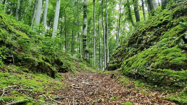 Der große Graben verläuft in Nord- Südrichtung