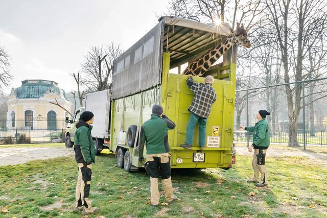 Allein der kurze Trasnsport verschlang 2000 Euro