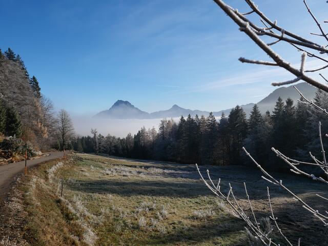 Blick zum Traunstein 1691m