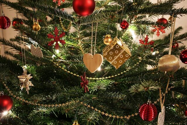 Ersteigern Sie einen Christbaum für den guten Zweck.