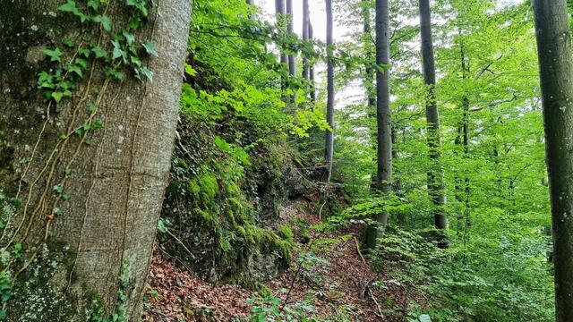 Steilabfall nach Norden zum Schwemmbach