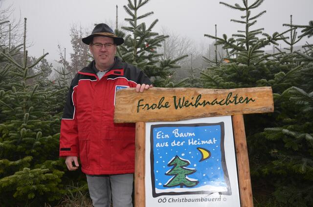 Foto: Land OÖ Vanessa Ehrengruber