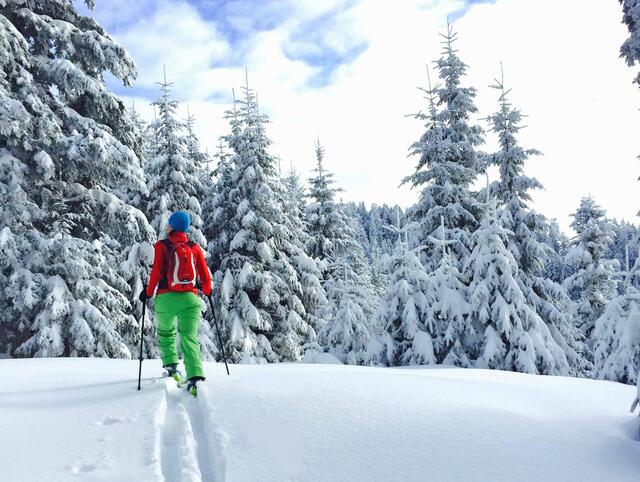 Zur Skitour Zinkenkogel oder Rossfeld startet man von der österreichischen Seite beim Parkplatz der Zinkenlifte Hallein/Bad Dürrnberg. Hier ist ein Parkticket um € 5,00 zu lösen.
