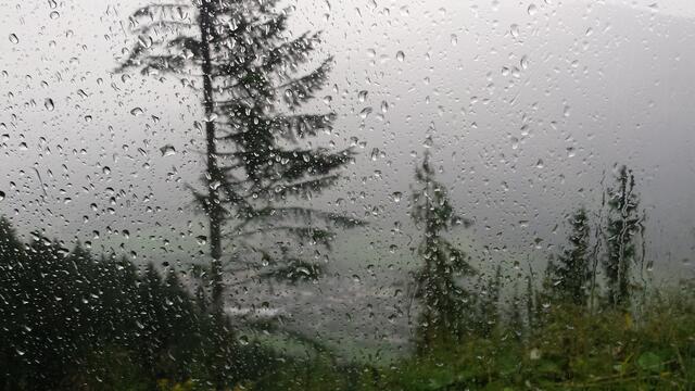 Tolle Regenaufnahme von Regionautin Aurelia Weigl