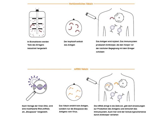 Unterschied zwischen herkömmlichem Vakzin und
dem mRNA-Vakzin