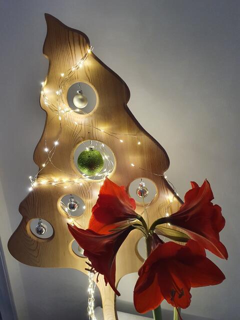 Amaryllis und viele Lichter lassen bei Neubauerin Julia Zechberger Adventstimmung aufkommen. | Foto: Julia Zechberger