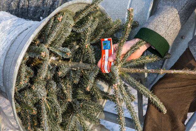 Foto: Land OÖ Vanessa Ehrengruber