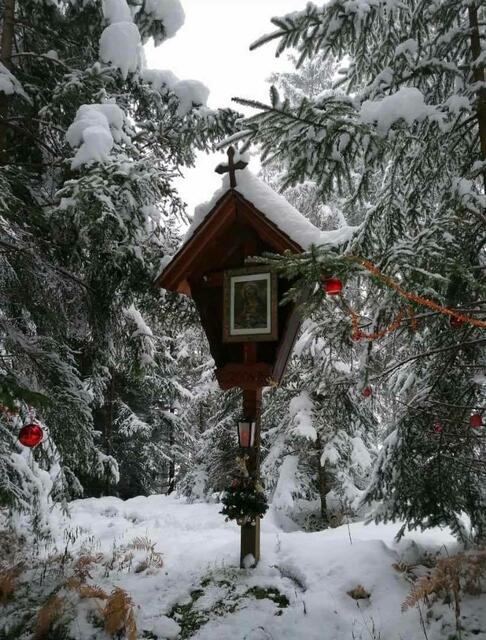 Tulfes Richtung Volderwildbad. | Foto: Privat