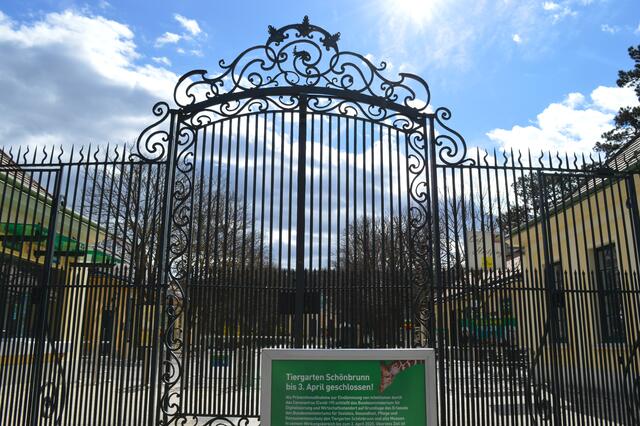Die vierte Schließung innerhalb von zwei Jahre trifft den Schönbrunner Zoo in Wien finanziell hart. Laufende Betriebskosten für Futter, Energie und Personal stellen den Betrieb vor enorme Herausforderungen.