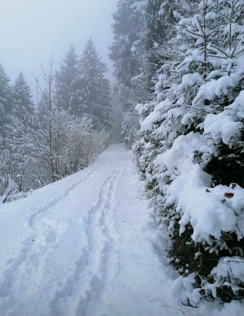 Tulfes Richtung Volderwildbad. | Foto: Privat