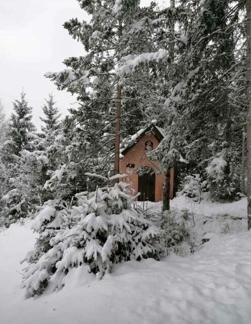 Tulfes Richtung Volderwildbad. | Foto: Privat