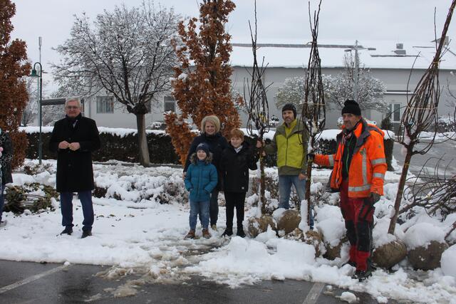 Bürgermeister Alfred Riedl freut sich über das große Interesse an der Klimaschutz-Aktion "Green for future". (c) Raidl