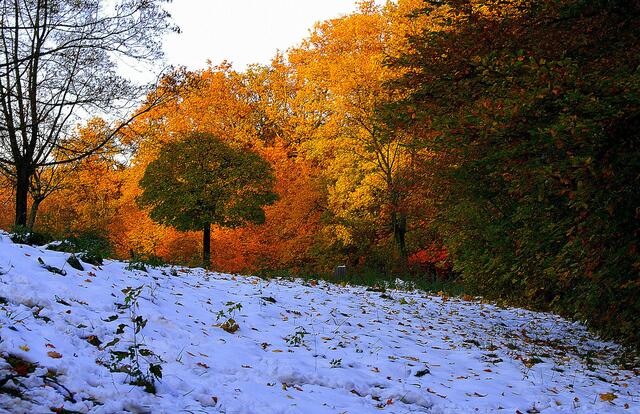 Das Wetter unterscheidet sich im Norden und Süden  | Foto: Gerhard Singer