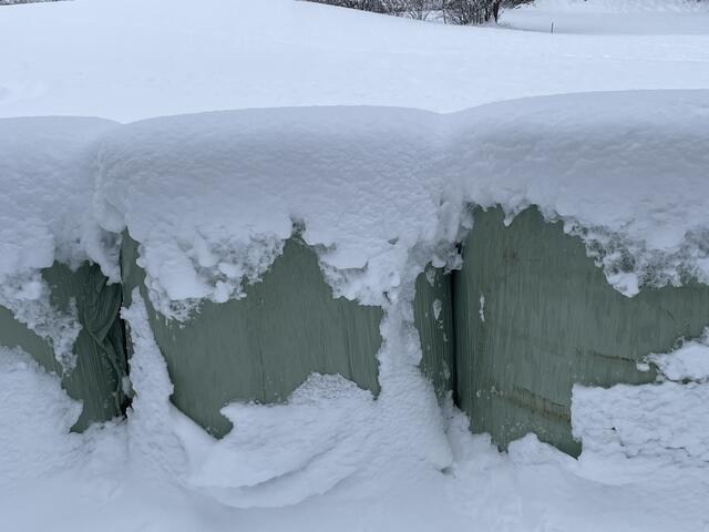 Heuballen im Schnee | Foto: Privat