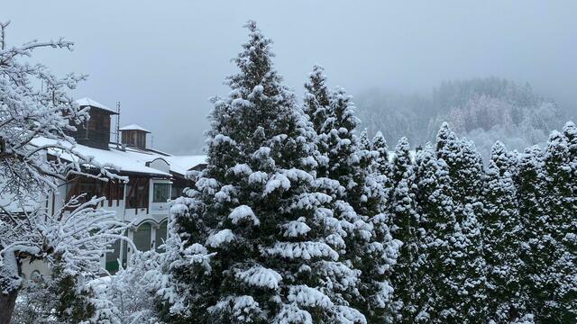 Wattens | Foto: Privat