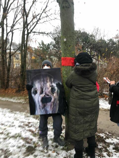 "Tree Hug" heißt die Aktion, bei der Fotos des eigenen Lieblingsbaums gemacht und in Sozialen Medien gepostet werden.