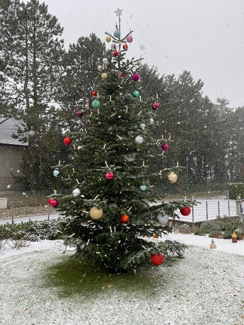 Auch im Garten darf der Weihnachtszauber nicht fehlen.  | Foto: Uschi Heiss