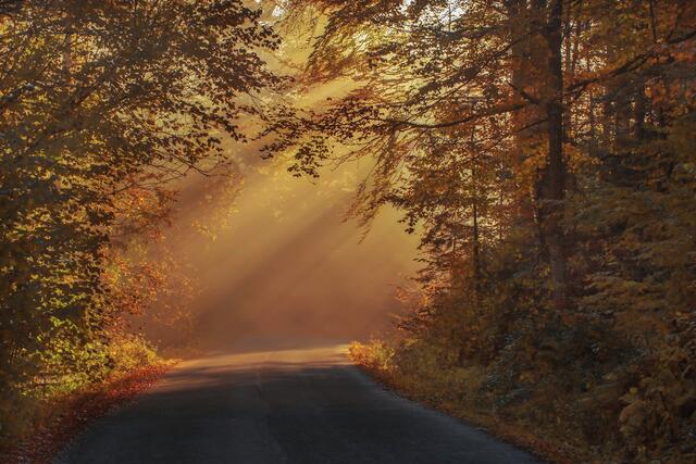 Der Weg durch die Pandemie