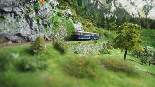 Foto: Gottfried Reither