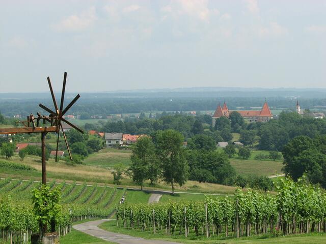 Spielfeld