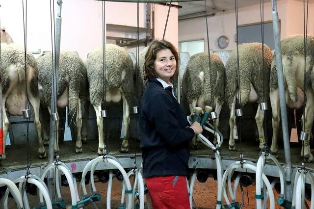 Rieds Bezirksbäuerin Monika Rendl berichtet: "Auf viele Bauern kommen nun hohe Trocknungskosten zu. Das Getreide muss in Trocknungslagern untergebracht werden. Ist es zu nass, verfault es." | Foto: Rendl
