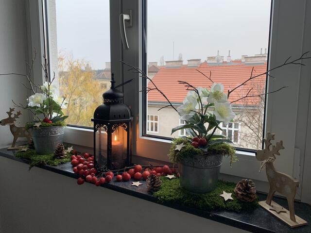 Die erste Einsendung kam von Gabriele Riffler. Auf ihrer Fensterbank hat Weihnachten in Währing bereits Einzug gehalten.