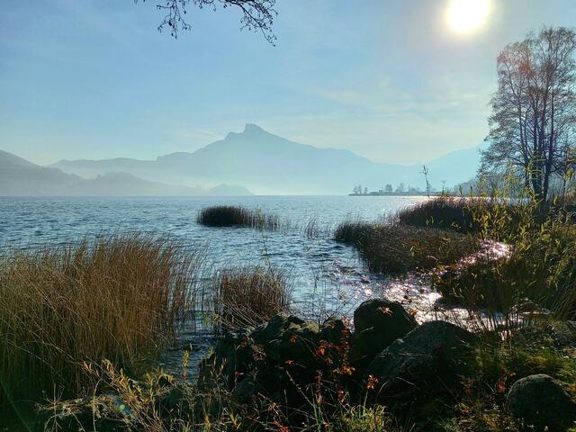 Spaziergang am Mondsee mit Blick auf den Schafberg  | Foto: H.Bachinger 